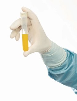 Cleanroom Gloves, BioClean BIOTAC, Nitrile