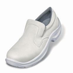 Laboratory shoes, slipper