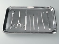 Trays, stainless steel