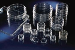 Cell Culture Dishes, Nunclon™Δ Surface, PS, treated, sterile