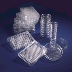 Cell Culture Dishes with thermosensitive UpCell™ Surface, PS