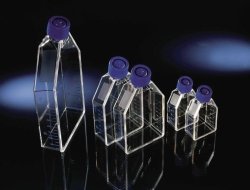 Cell Culture Flasks EasYFlask™, treated, PS/HDPE, sterile