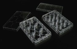 Cell Culture Plates, non-treated, PS, sterile