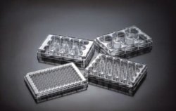 Cell Culture Plates, treated, PS, sterile