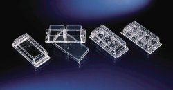 Chambered Coverglass Lab-Tek™ und Lab-Tek™ II, PS, sterile