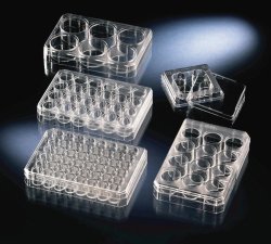 Multidishes, non-treated, PS, sterile