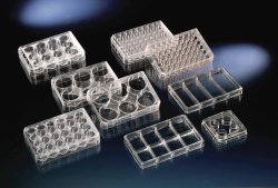 Multidishes, Nunc™ cell culture treated surface, PS, sterile