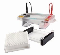 Gel electrophoresis tank Enduro™ 96