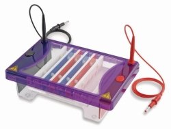 Gel electrophoresis tank MultiSUB Choice Trio-Set