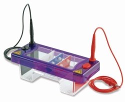 Gel electrophoresis tank MultiSUB Mini