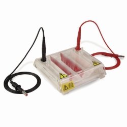 Gel electrophoresis tank MultiSUB MiniRapide