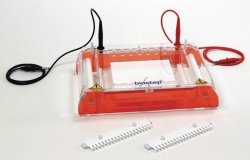 Gel electrophoresis tanks, horizontal GH303