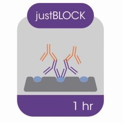 Blocking solution for Western blot