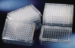 96 Well Immuno Plates, PS, flat bottom