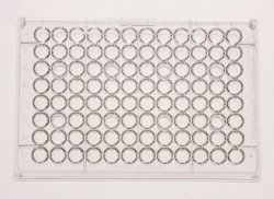 96 Well Microplates Microtiter™