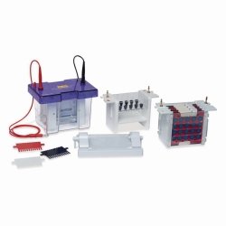 Gel electrophoresis tank OmniPage Mini