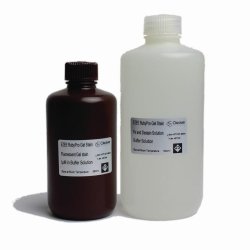 Protein gel staining kits