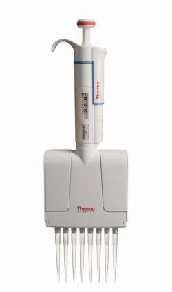 Multichannel microliter pipettes Finnpipette™ F1, variable