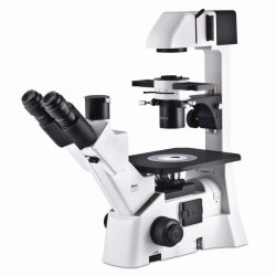 Inverted Microscope for advanced applications AE31E