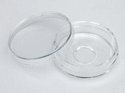 Glass-bottomed trays, Nunc ™, borosilicate