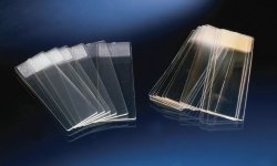 Microscope Slides, TC, sterile