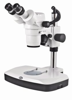 Zoom Stereomicroscope SMZ 168